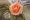 Hoa hồng nhân tạo hoa giả hoa giả PE hoa hồng nhân tạo hoa 6 ~ 7cm bọt hoa đầu hoa - Hoa nhân tạo / Cây / Trái cây