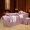 Mùa hè cao cấp vẻ đẹp giường bao gồm bốn bộ lụa mô phỏng phong cách châu Âu bốn mảnh màu hồng tinh khiết massage giường tùy chỉnh - Trang bị tấm khăn trải giường spa cao cấp