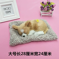 Бархатные колодки Большая спящая собака Чихуахуа