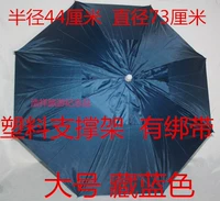 Большой тибетский синий