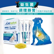 Chó con men vi sinh điều hòa tiêu hóa chó con chó con chó con kích hoạt khỏe mạnh chó ăn Golden Retriever Bomei Teddy Dog Cat GM - Cat / Dog Health bổ sung