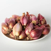 1 фунт красного лука -лука