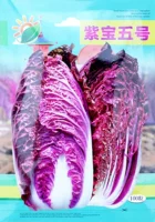 Zibao № 5 Purple Capbage Seeds 100 зерен/сумки