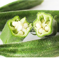 Желто -саженцы баки 5 деревьев