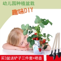 Детская маленькая лампа для растений для детского сада для выращивания растений, детский маленький горшок, ферма, «сделай сам»