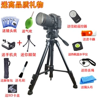 Chân máy ảnh Canon 700D600D6D270D5D280D77D800D5D3 Giá đỡ máy ảnh DSLR 650D PTZ - Phụ kiện máy ảnh DSLR / đơn chân máy quay điện thoại