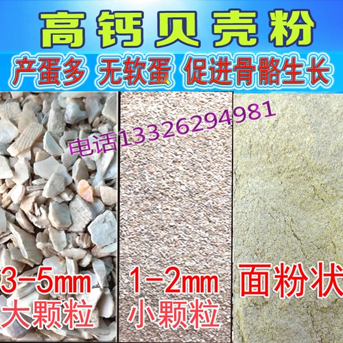 Птичья раковина кормление курицы куриное яйцо есть мягкая раковина яиц куриные голубь.