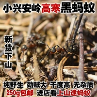 Северо -восточная специальность Heilongjiang Yichun Deep Mountain Mountain Wild Black Ant Foot Dry Black Ant Ant Wicker 250g Бесплатная доставка