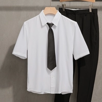 Белая короткая рубашка D6+черные укороченные брюки