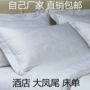 Khách sạn vải lanh trắng nhà sản xuất khăn trải giường cotton bông lớn phượng lớn jacquard bộ ga giường everon
