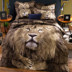 Bông 3d cá tính tấm bốn bộ bông ba chiều động vật hổ sư tử sói 1.8 m đôi chăn bộ đồ giường Bộ đồ giường bốn mảnh
