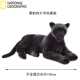 National Geographic đồ chơi sang trọng mô phỏng con báo đen búp bê quá khổ búp bê búp bê Nationalgeographic