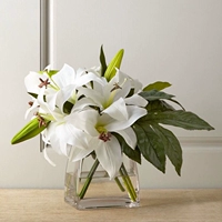 Современное и минималистичное прозрачное глянцевое свежее украшение в форме цветка для гостиной, маленькая вазочка