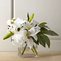 Fangkou Small Vase Mid -Caperave Modern Simple Geometric Transparent Толстая и толстая стеклян