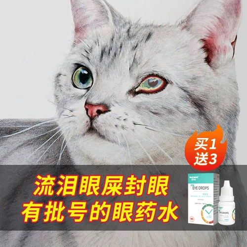 Глаза кошек с кошками с глазными каплями, флеза, воспаление, слезы, слезы, слезы, домашние животные, логистика толкают глаза собаки