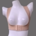 Thương hiệu hỗ trợ ngực chức năng hỗ trợ ngực Bộ sưu tập sữa mẹ ngực ngực thẳng trở lại vẻ đẹp trở lại ngắn cơ thể váy nhựa hỗ trợ ngực ngực áo nịt nữ Corset