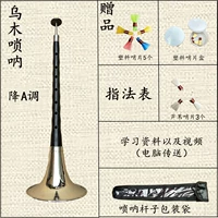 Снижение тона [8 Whistle+4 подарка]