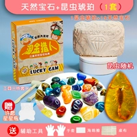 Natural Gem+Amber 1 набор из 20 штук из 90%выкапывает бриллианты