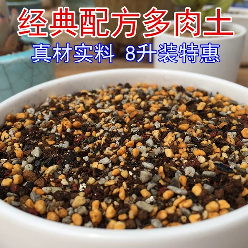 [Классическая формула] Pongang № 3 DU Meat Nutrition Earth Screenery Screenic Plasma Plaster Plaster Plant