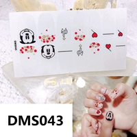 DMS043 Главная карта