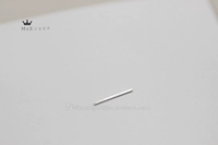 S925 Серебряная тонкая палка 1
