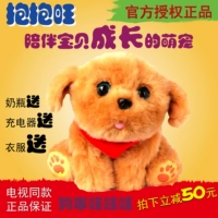 Hug Wang trẻ em bé điện mầm non đồ chơi giáo dục plush puppy dog ​​đối thoại hát điện tử thông minh dog đồ chơi thông minh cho bé