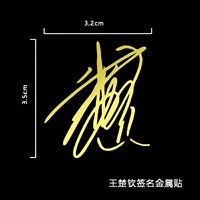 Металлическая наклейка Wang Chuqin B в абзац B