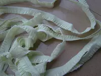 Светло -зеленая полоса