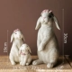 Кролик, комплект, 2 предмета