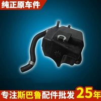 Применимо к Subaru Forest Man Brz Aohu XV Stiker Lion Chi Pangpeng с наддувом, оригинальные аксессуары