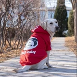 Новая весна и осенняя средняя и большая собака золотисто-ретривер сатсума пограничная воротничка для любимой одежды для собак.