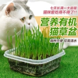 Бесплатная доставка Crystal Cat набор для удаления шариков для волос, чтобы помочь пищевой жидкости для пищеварения жидкости и закуски для кошек для игрушек