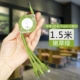 1,5 метра зеленый [Apple+Android+Type-C]