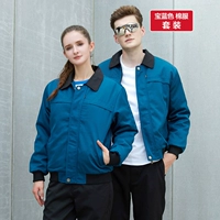 Королевское голубое хлопковое пальто (верхние + брюки)