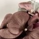 10 Purple Coffee Phalaenopsis 1
