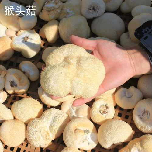 Специальные продукты Gutian Herry Head грибные сельскохозяйственные грузы сухой сухой
