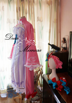 taobao agent [MIMOSA] COSPLAY clothing*Oriental Project*Oriental Glasses Township*Library*Paqiu Li