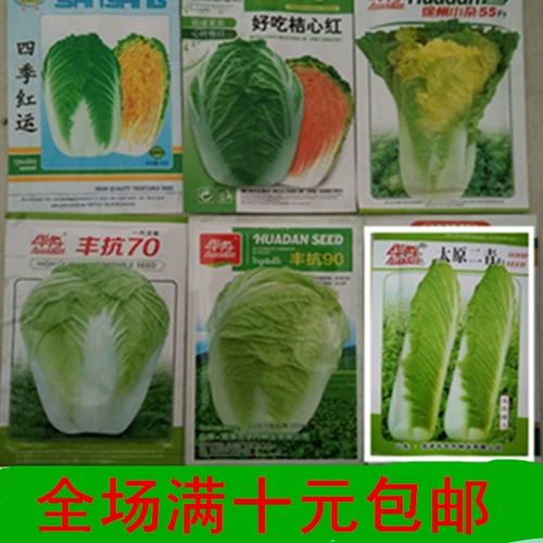 Различные семена китайской капусты, ранняя зрелость, поздно приготовленная, жара, устойчивые к холодному красному китайскому капусту, растительные семена, семена овощей