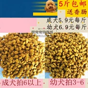 Tuyệt vời con chó thức ăn chính số lượng lớn vào con chó thức ăn cho chó staple thực phẩm teddy vàng tóc husky samo thạc sĩ thực phẩm 500 gam Jin Maorui