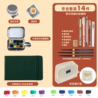 D10 Holbain Professional Set