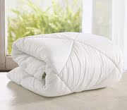 Vẻ đẹp giường chuyên dụng bởi các câu lạc bộ cốt lõi massage khử trùng giường bìa quilt cover cotton dày mùa đông quilt 120 * 180