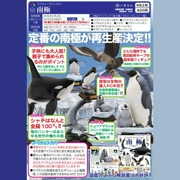 Nhà mèo Nhật Bản ikimon ba lần tái bản tay nhỏ để làm bài báo sinh học ở Nam Cực tất cả 8 loại tại chỗ chính hãng - Capsule Đồ chơi / Búp bê / BJD / Đồ chơi binh sĩ