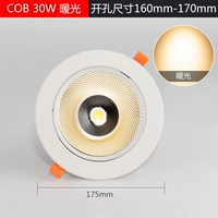 30 Вт [теплый свет 3000K] Покачка