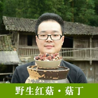 Сяджян Новый груз Fujian Sanming Местный дикий красные грибы сушеной сушеной