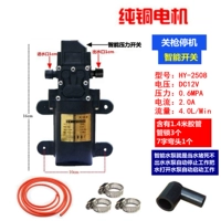 Tiger Yue Direct Plug -In Smart Pump (отправьте подарок на насос)