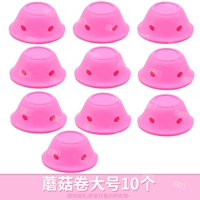 10 грибных рулонов большие