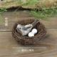 Середина -nest+середина -намидта копье 1+2 яйцо