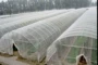 Lưới nhà kính chống côn trùng dày châu chấu chăn nuôi rau giống lưới lưới lưới đầy đủ đổ vườn cung cấp - Nguồn cung cấp vườn chậu ghép thông minh