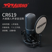 797AUDIO CR619 ngưng tụ màng lớn micro K bài hát lồng tiếng nhạc cụ ghi âm cá nhân - Nhạc cụ MIDI / Nhạc kỹ thuật số