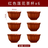 Pure Red Lotus Big Cup 6